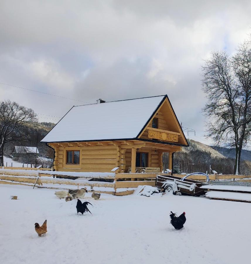 Holiday home Sudecki Dym Z Kominkiem Kolo Karpacza. Janowice Wielkie