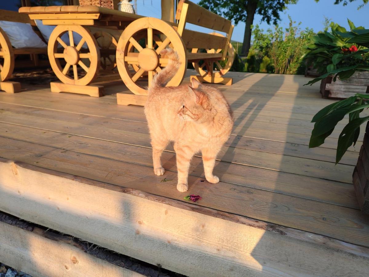 Sudecki Dym Z Kominkiem Kolo Karpacza. Holiday home