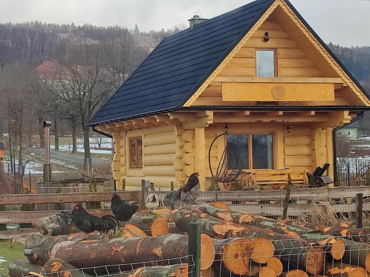 Sudecki Dym Z Kominkiem Kolo Karpacza. Holiday home Janowice Wielkie