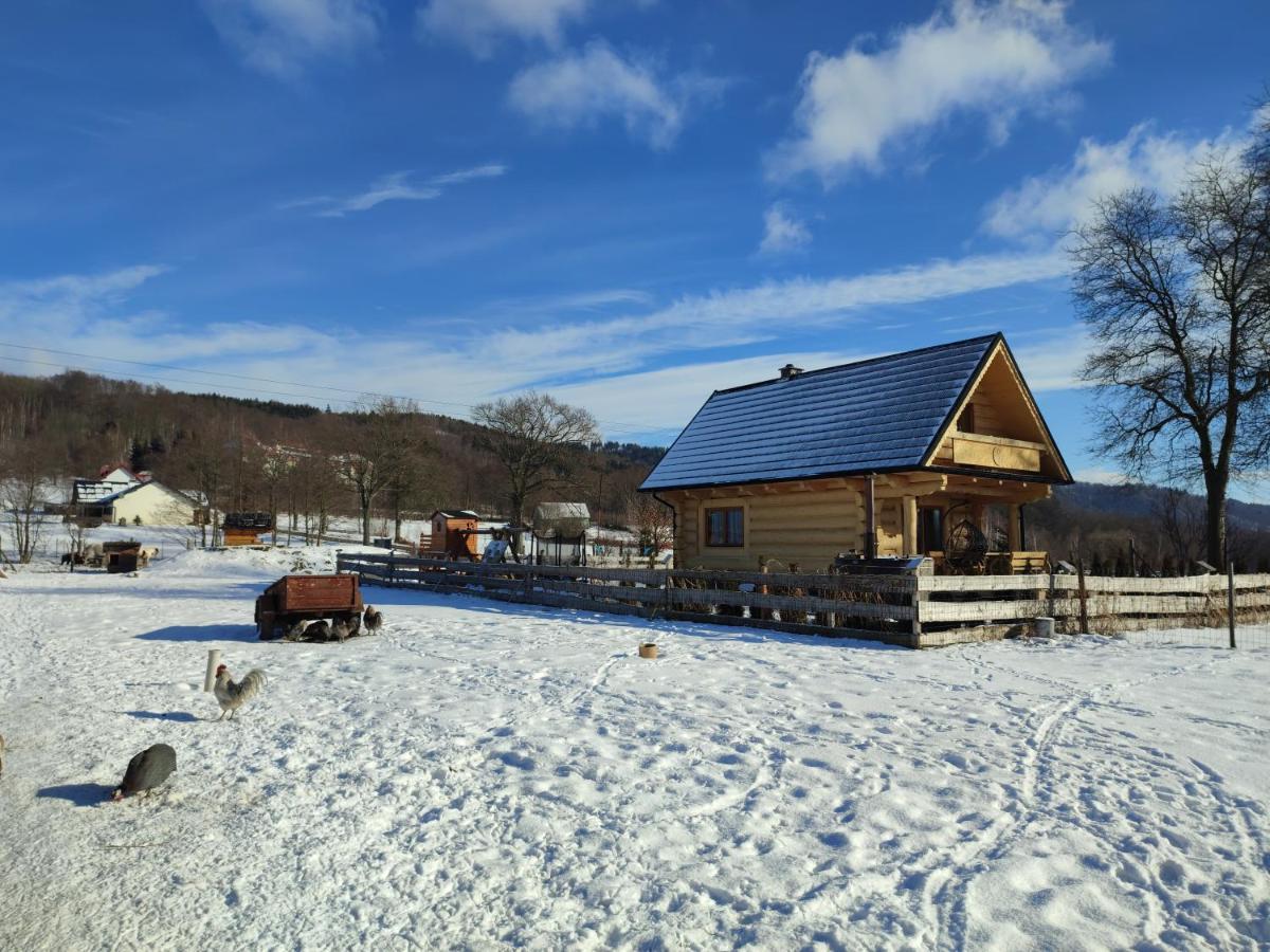 Holiday home Sudecki Dym Z Kominkiem Kolo Karpacza. Janowice Wielkie