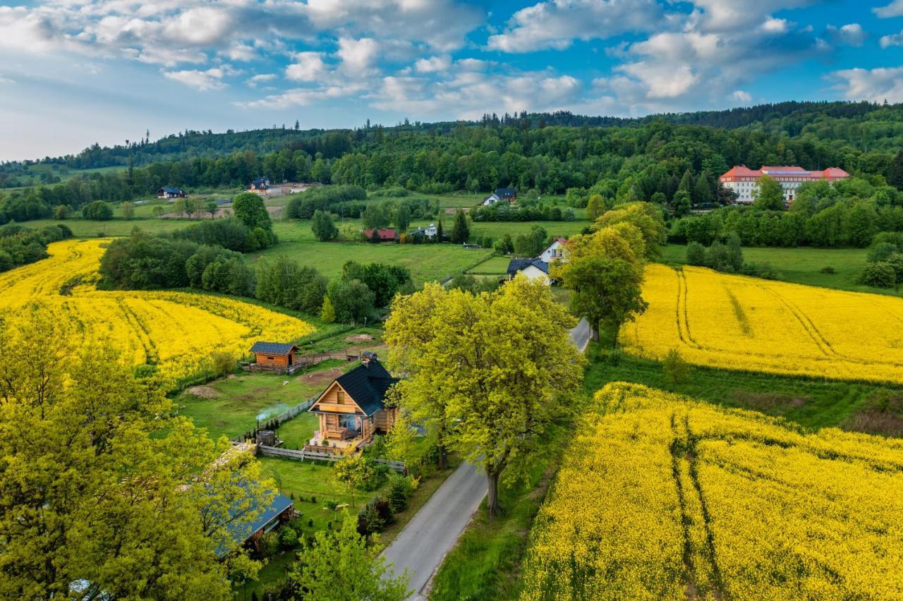 Sudecki Dym Z Kominkiem Kolo Karpacza. Holiday home Janowice Wielkie