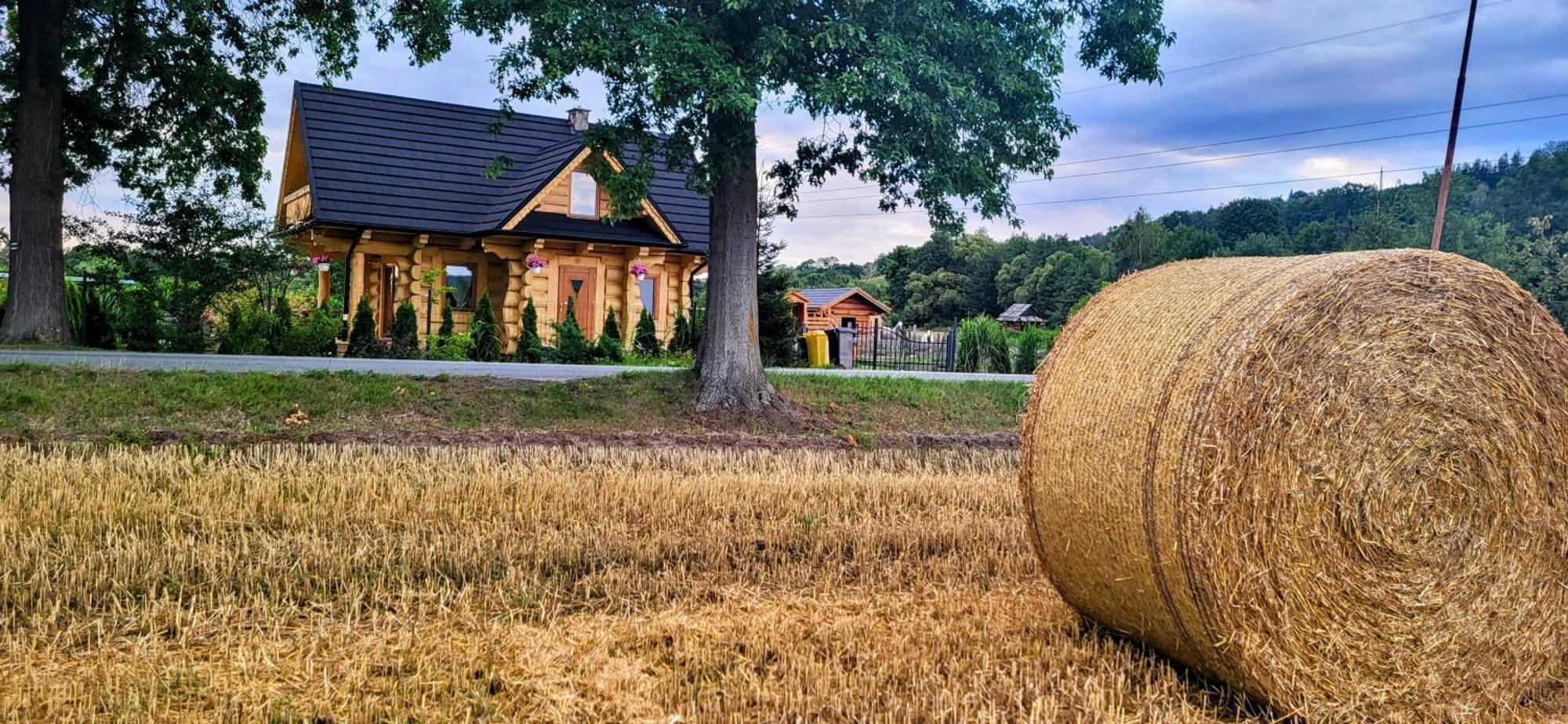 Sudecki Dym Z Kominkiem Kolo Karpacza. Holiday home *